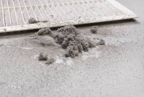 Best Residential Air Duct Cleaning  in Bourbon, IN