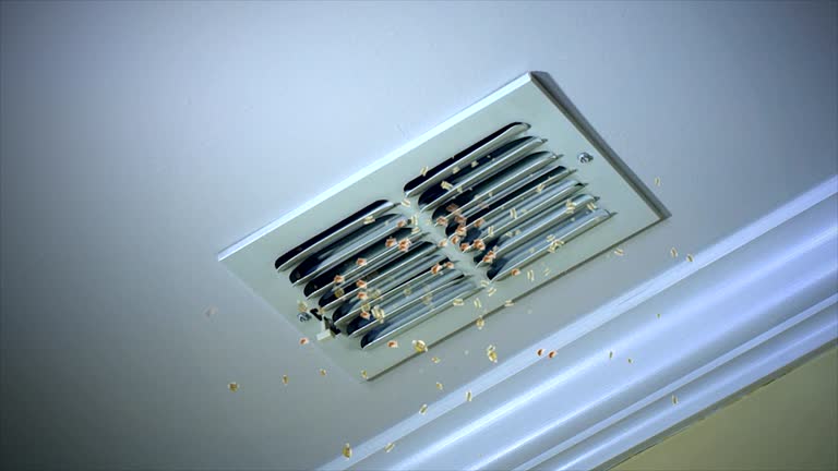 Best Best Air Duct Cleaning Company  in Bourbon, IN