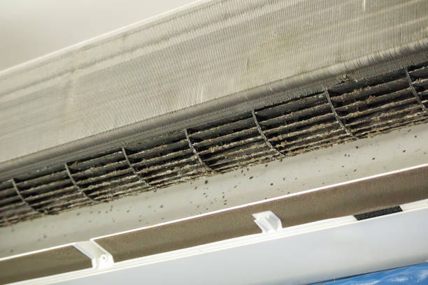 Best Air Duct Cleaning Near Me  in Bourbon, IN