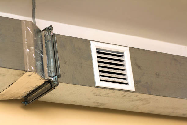 Best Ductwork Cleaning Services  in Bourbon, IN